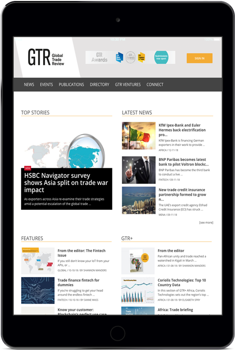 Gtr Ipad Mini Mockup - Gadget (800x800), Png Download