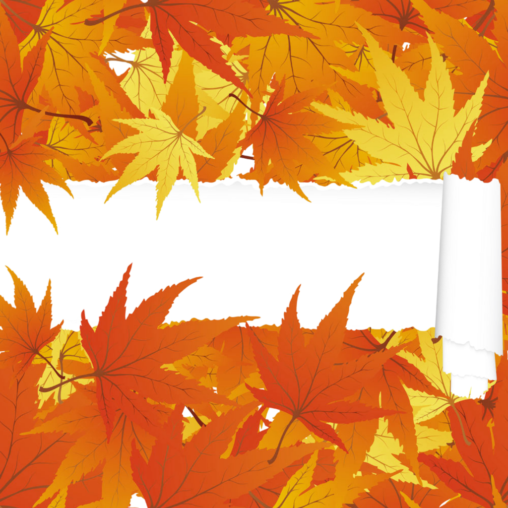 Fall Leaf Border Png (1024x1024), Png Download