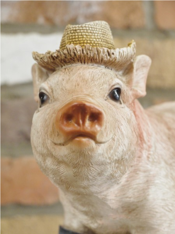 Pig Nose Png (1152x768), Png Download