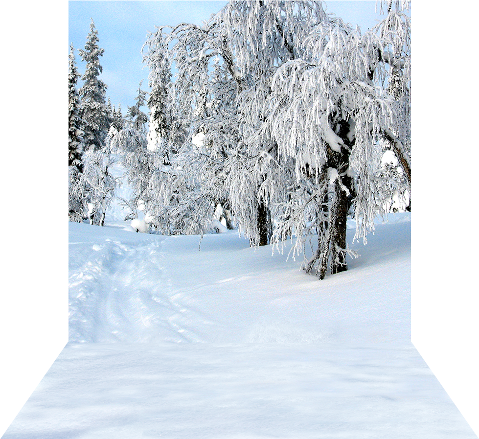 3 Dimensional View Of 10'x20' Backdrop - Snow (1000x1000), Png Download