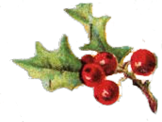 Berry Clipart Sprig Holly - Vintage Holly Clip Art (640x480), Png Download