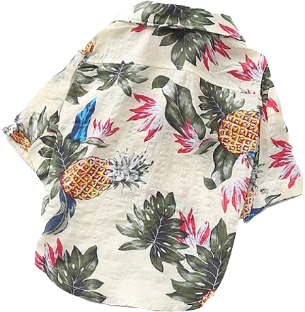Shirt (600x600), Png Download