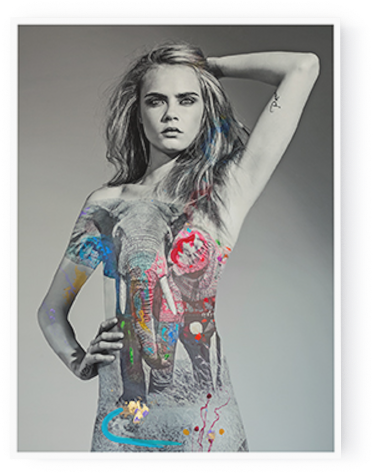 Photo Cara Elephant - I M Not A Trophy (752x1000), Png Download