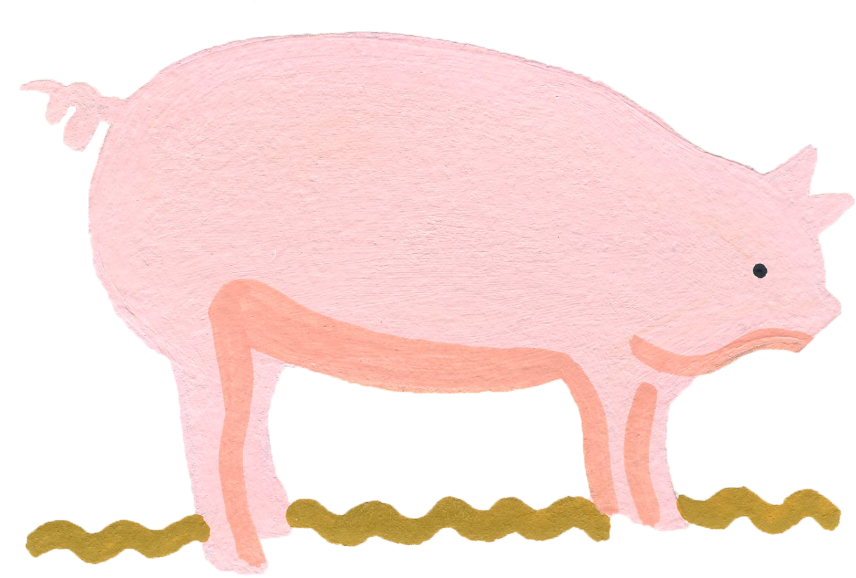 2017 - - Domestic Pig (1254x906), Png Download