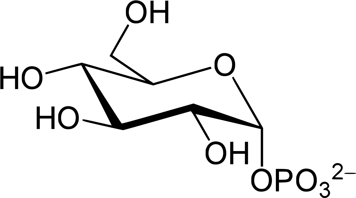 Ethyl Glucuronide (1200x685), Png Download