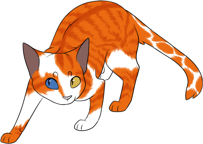 Brightstar - Domestic Short-haired Cat (828x600), Png Download