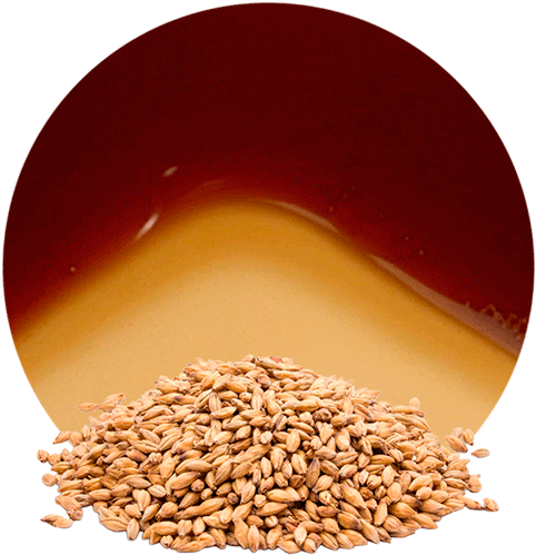 Com/wp Concentrate - Emmer (536x595), Png Download