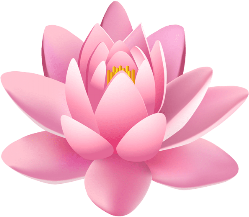 Free Png Pink Lily Flower Png Images Transparent - Spa Background (850x739), Png Download