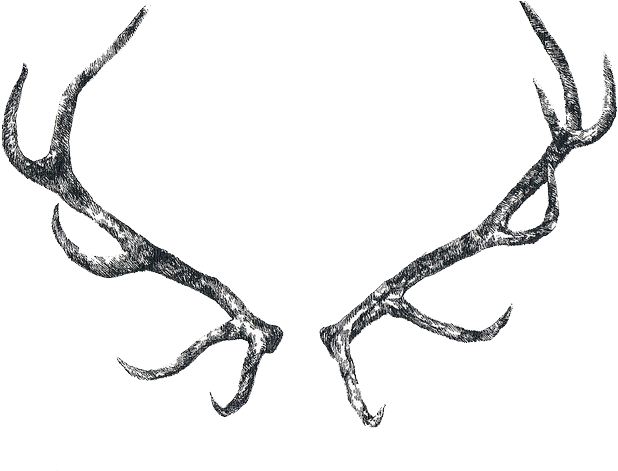 Drawn Horns Png Tumblr - Antlers Drawing (640x480), Png Download
