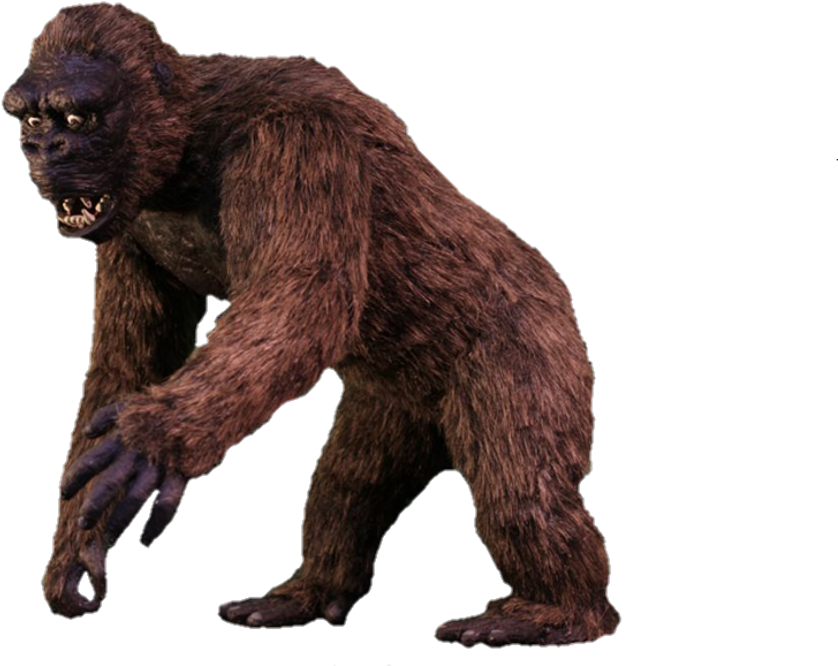 Kong Sticker (1024x835), Png Download