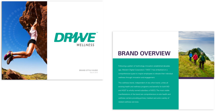 Drive Wellness Style Guide Overview - Flyer (1140x710), Png Download