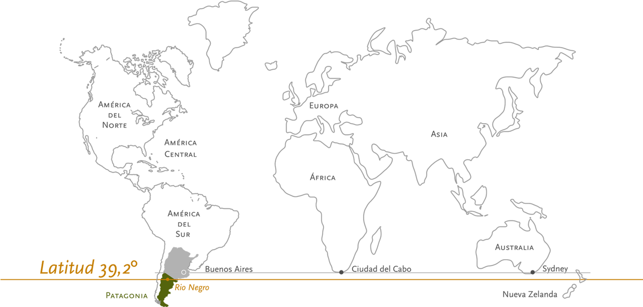 Pioneer In Patagonia Wine Terroir - Mapa Mundi Para Colorir (1277x631), Png Download