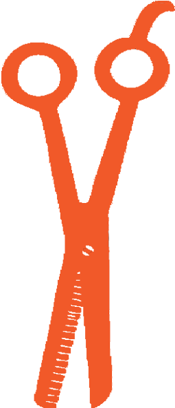 Hair - Circle (600x600), Png Download