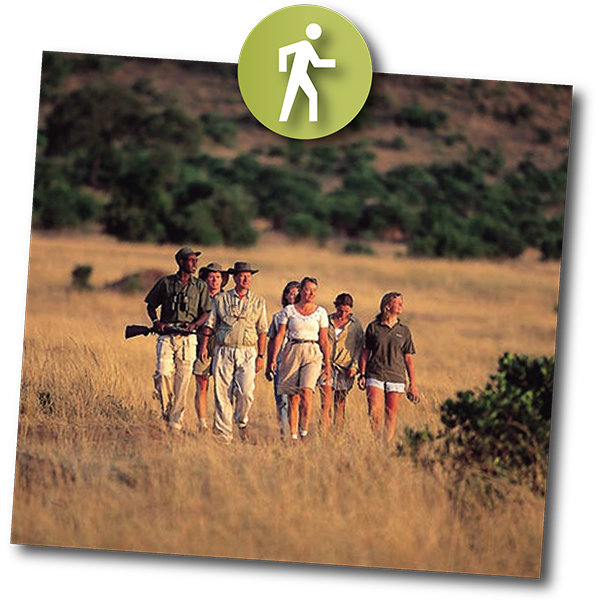 Activity Safaris Walking Safari - Cross (600x600), Png Download
