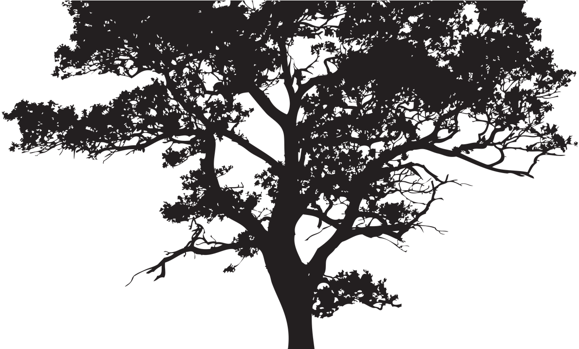 19 Woods Clipart Download Row Tree Huge Freebie Download - Blood Moon And Mars (1200x715), Png Download