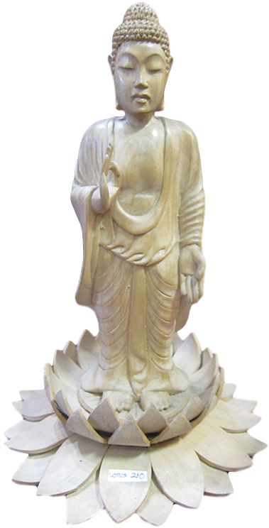 Buddha Standing On Lotus - Gautama Buddha (477x800), Png Download