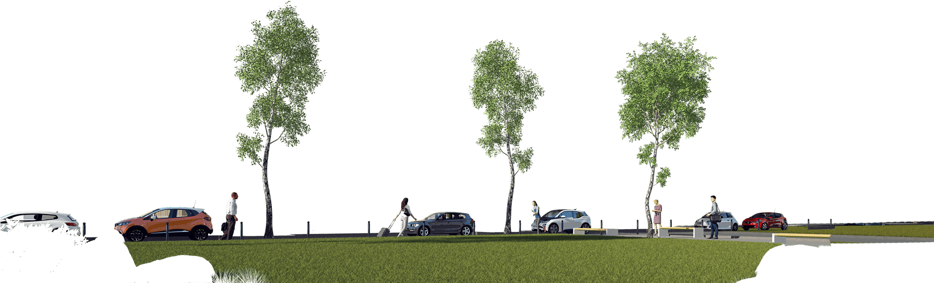 Newsletter - Tree (1920x1080), Png Download