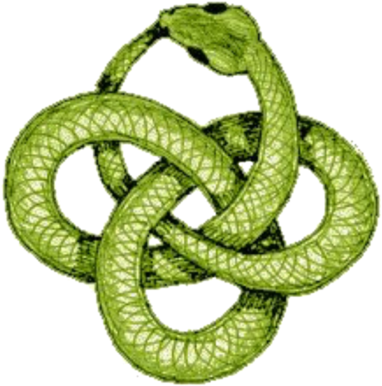 Green Snake Png (1024x1024), Png Download