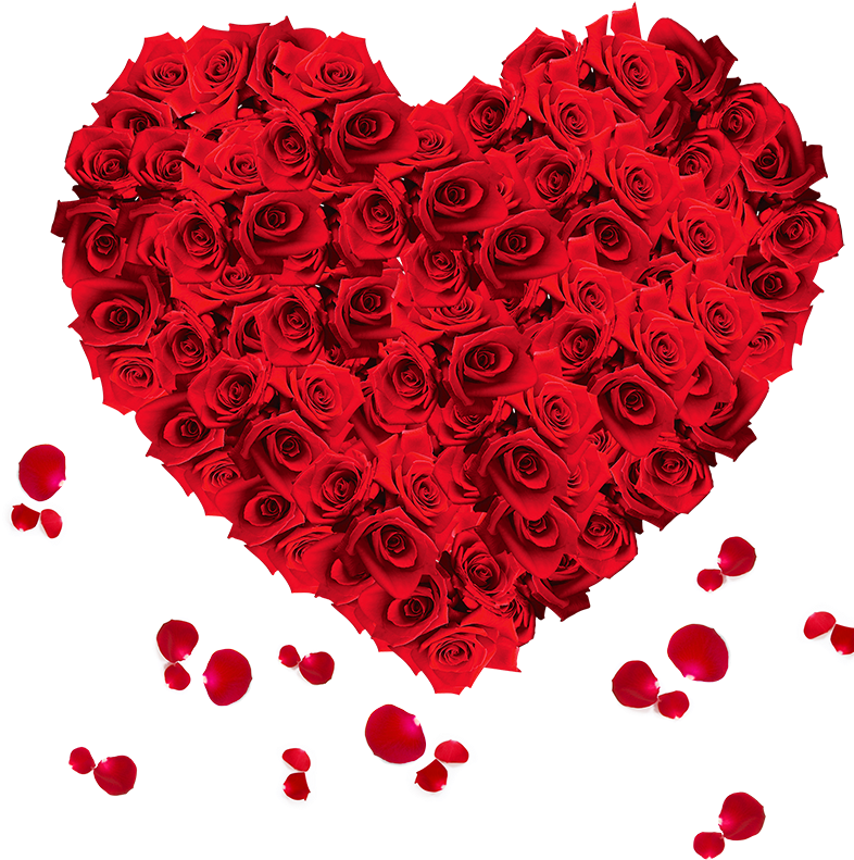 玫瑰花心型 - 感谢 大家 的 祝福 (800x800), Png Download