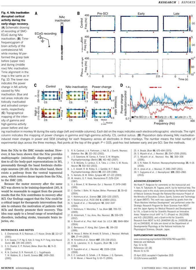 Diagram (765x974), Png Download