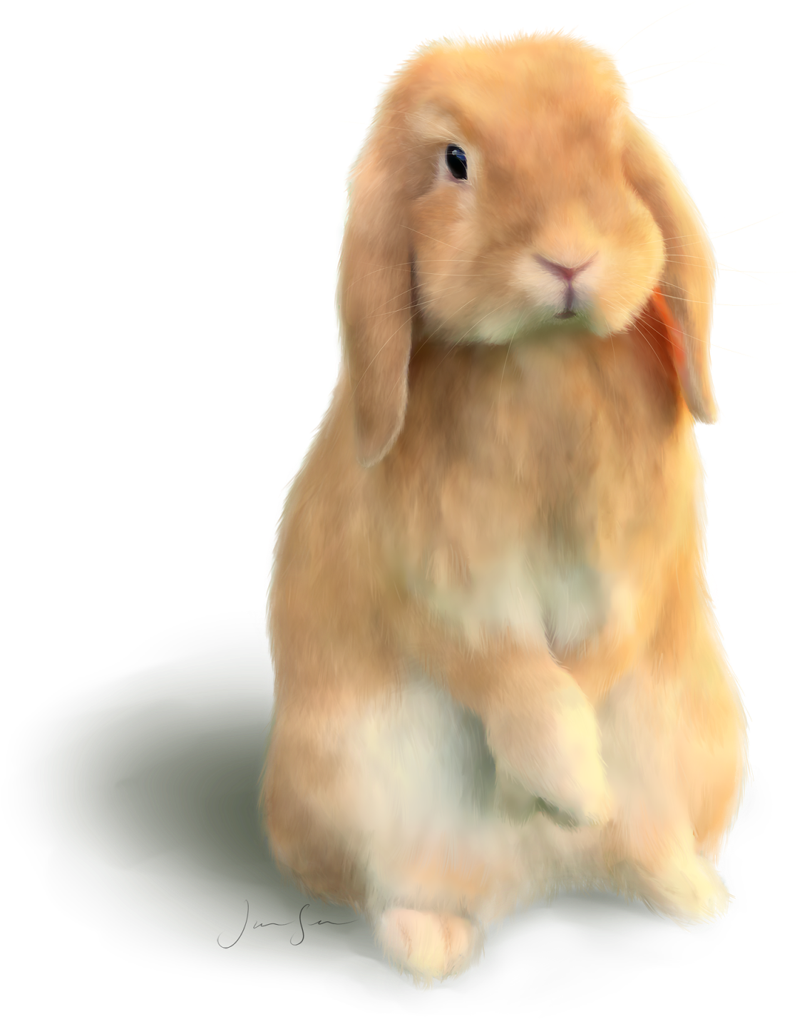 Töherryksiä, Blogin Ulkoasuja - Domestic Rabbit (1175x1600), Png Download
