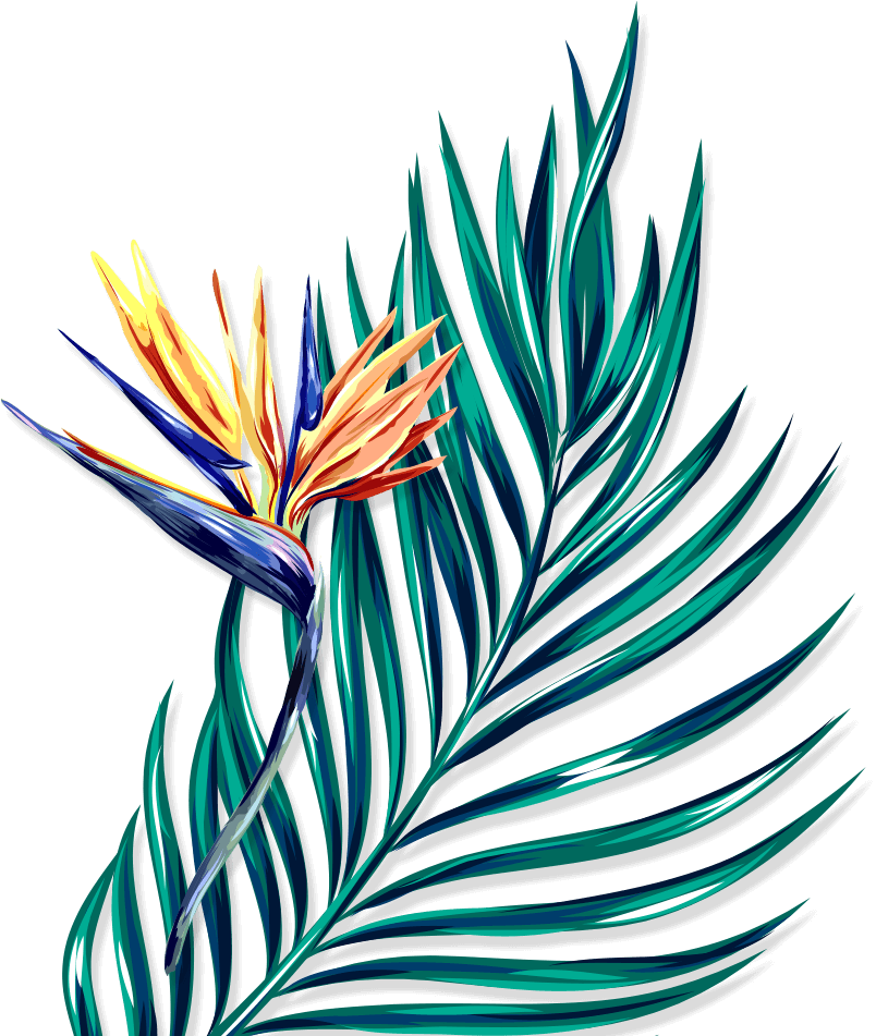 Illustration (804x951), Png Download