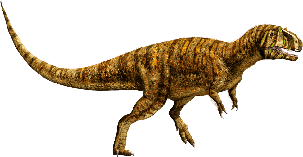 Metriacanthosaurus - Metriacanthosaurus Jurassic World Evolution (1007x540), Png Download