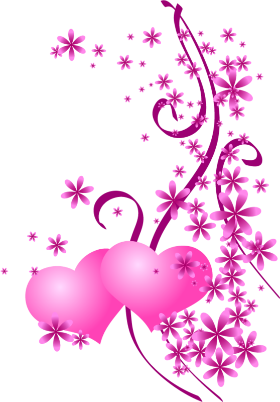 E93b385e - Coeur Rose Et Violet (558x800), Png Download