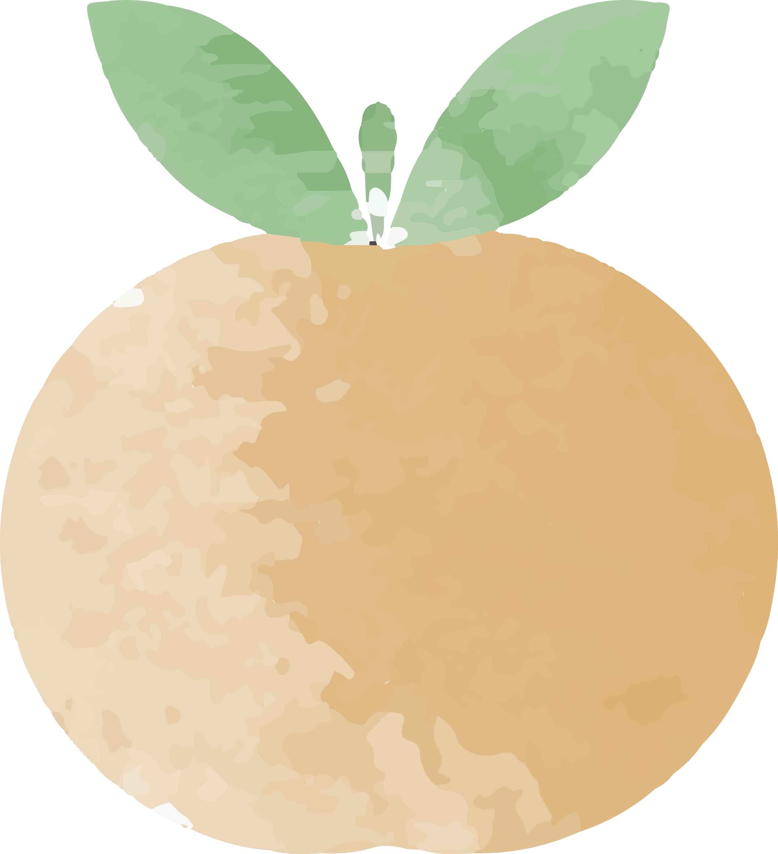 Painting Grapefruit Transprent Png - Watercolor Painting (2518x2764), Png Download