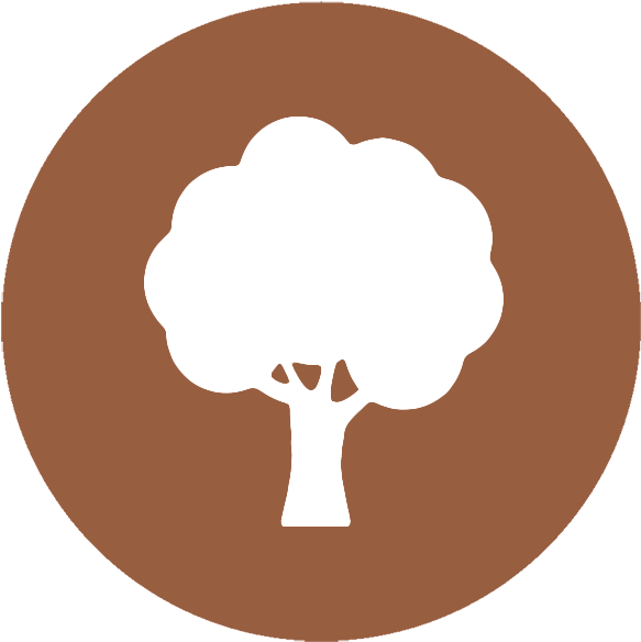 Life - Info (600x600), Png Download
