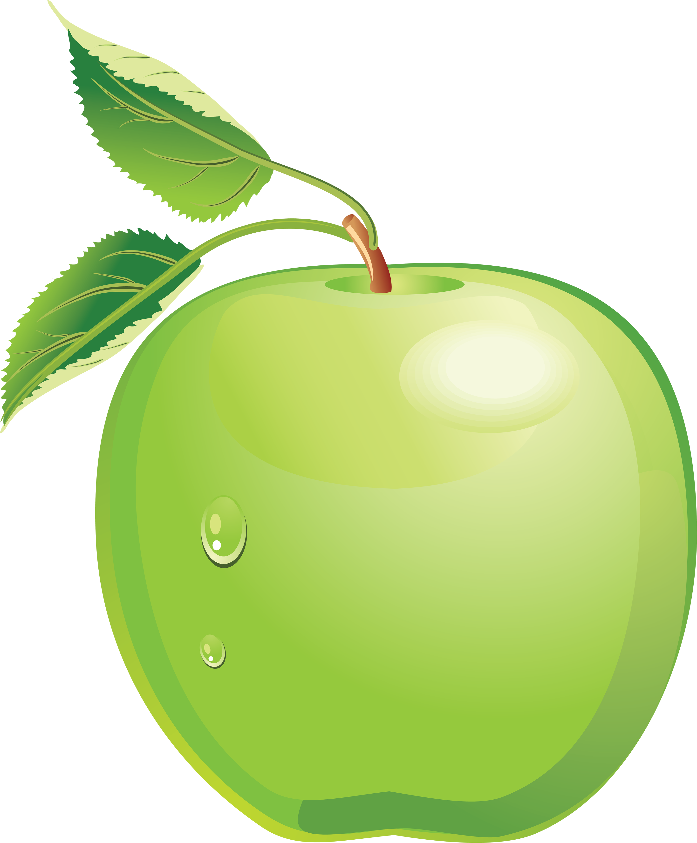 Apple Png - Green Apple Vector Png (2890x3497), Png Download