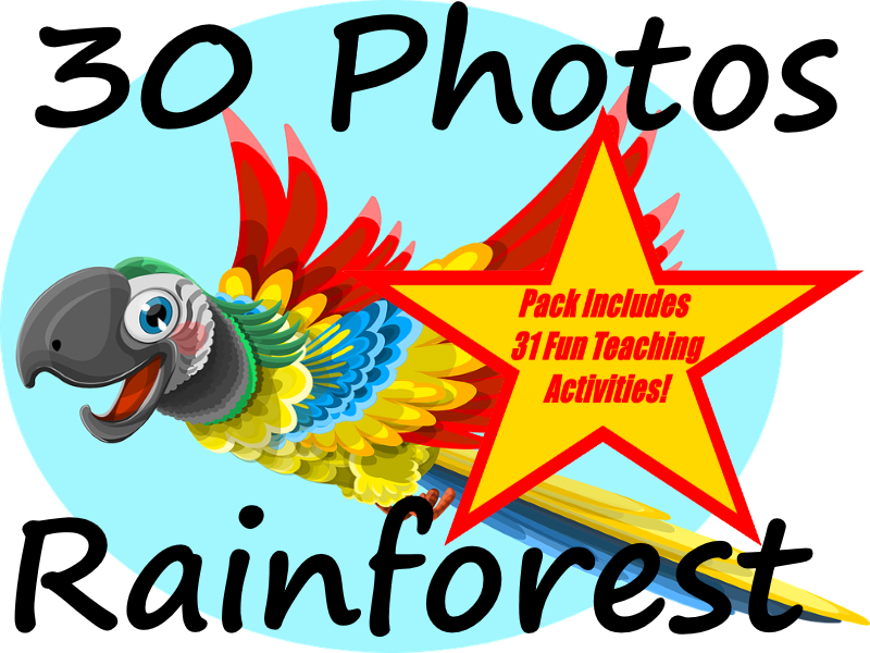 Jpg Freeuse Ear How We Hear - Teacher (800x600), Png Download