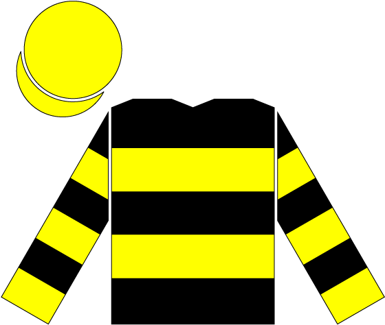 Three Year Old Season[edit] - Jockey Silk Png (568x482), Png Download