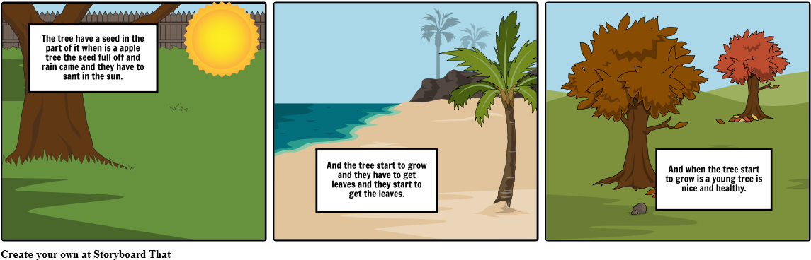 Trees - Attalea Speciosa (1164x385), Png Download