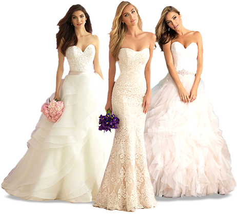 Sign Up For Our Specials - Women Wedding Dress Png (805x443), Png Download