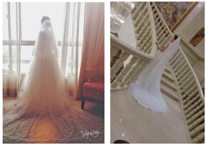 Vintage Romantic White Tulle Foldover Cathedral Length - Floor (422x571), Png Download