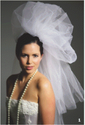 Extravagence With Bridal Tulle - Veil (500x431), Png Download