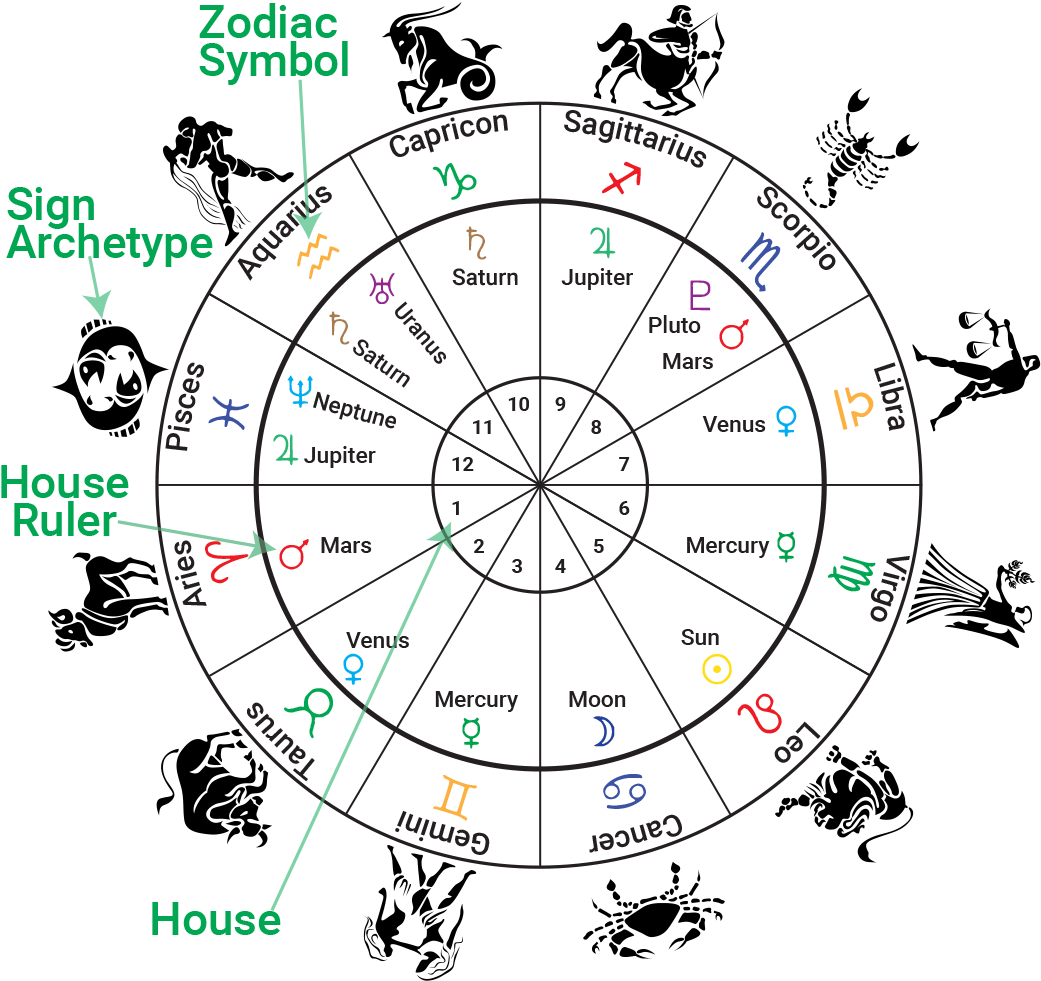 03 Infographic Houses Signs Rulers - Birth Chart Houses (1055x1000), Png Download