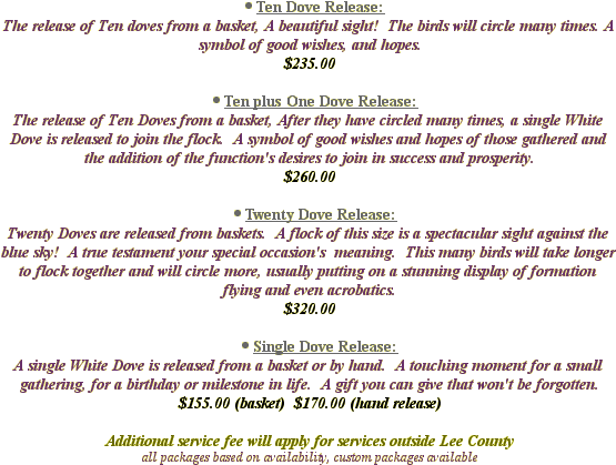 Brønsted–lowry Acid–base Theory (557x444), Png Download