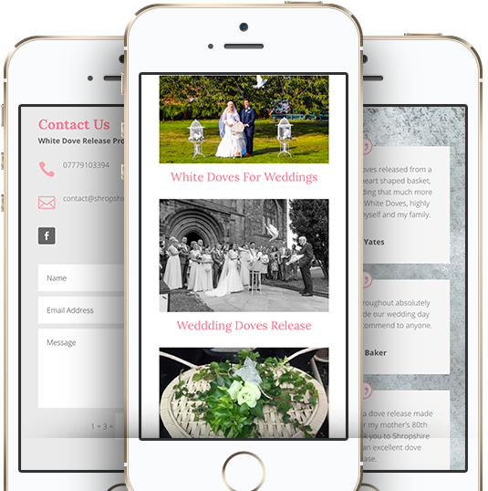 Shropshire White Doves Success Story Iphones - Iphone (624x595), Png Download