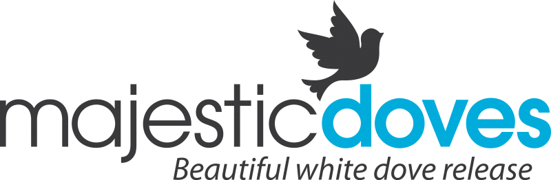 White Doves, Wedding Dove Release - 360 Destination Group (800x262), Png Download
