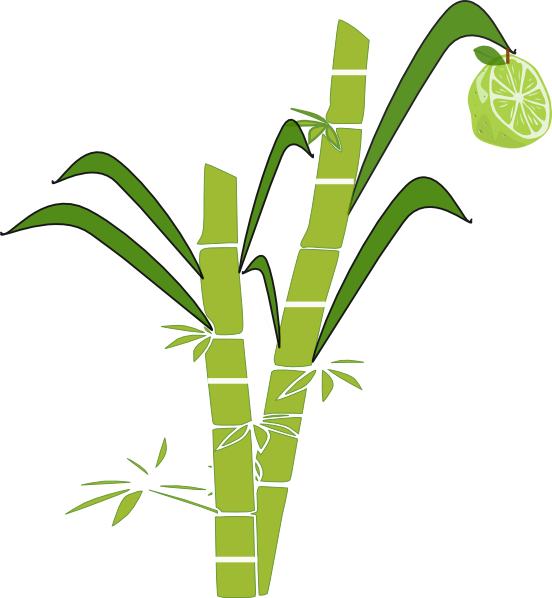 Sugar Cane Png Black And White Transparent Sugar Cane - Sugar Cane Clipart Png (552x598), Png Download