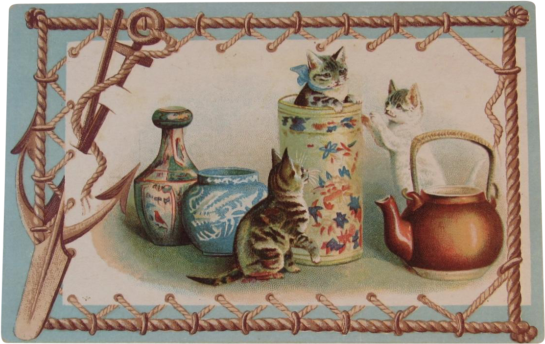 Embossed Cats In Vases With Tea Kettle Postcard Unused - Postcard Cats (1112x1112), Png Download