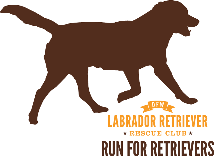 Run For Retrievers Logo - Amazon Dot: Amazon Dot For Beginners: Everything You (770x588), Png Download