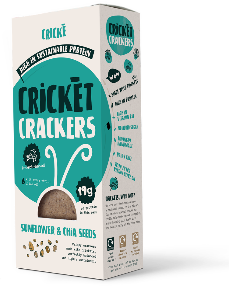 Image - Coffee Substitute (1000x1000), Png Download