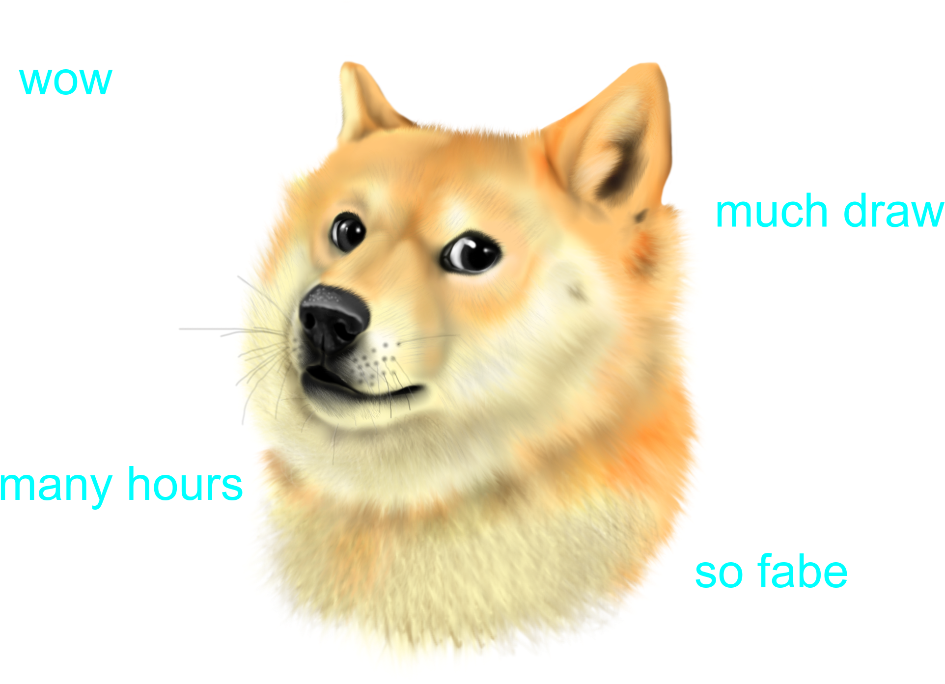 Shibe Photo - Doge Such Wow Png (2000x1500), Png Download
