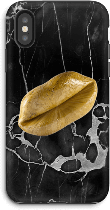 Golden Kiss Case Iphone X Tough - Hard Dough Bread (499x800), Png Download