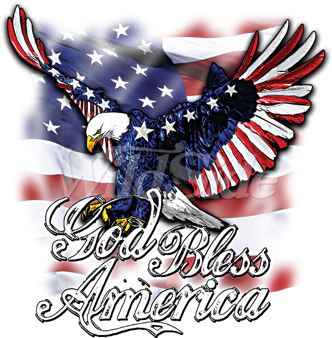 God Bless America - God Bless America Eagle (675x675), Png Download