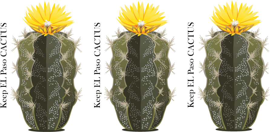 Bold, Playful Vector Design For Drennan Enterprises - Hedgehog Cactus (1200x1000), Png Download
