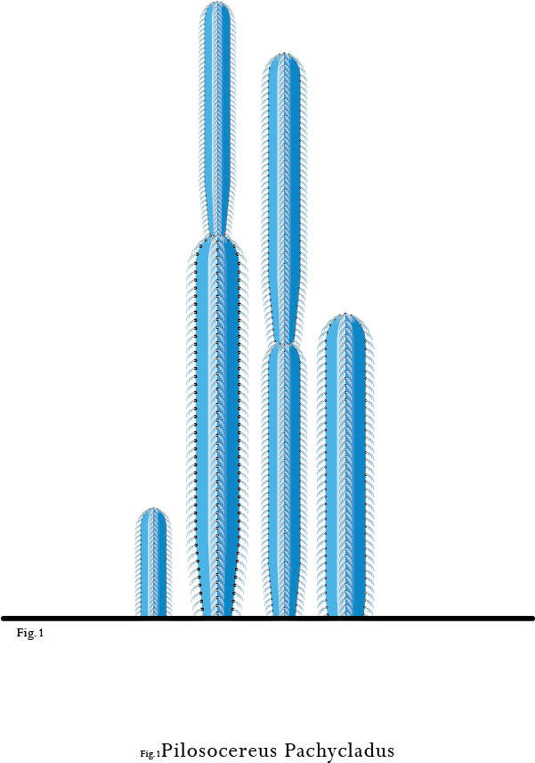 Portrayed In Soft Pastel Colors With Almost Geometrical - Hedgehog Cactus (600x922), Png Download